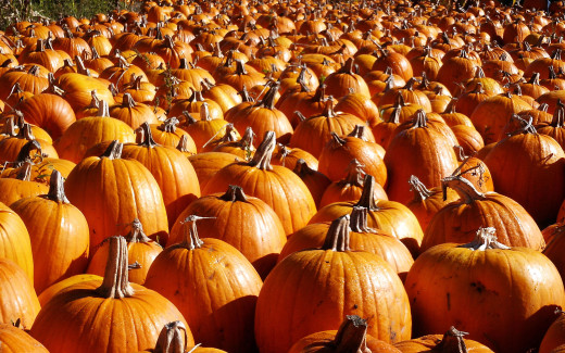 287519 (a): :2560x1600